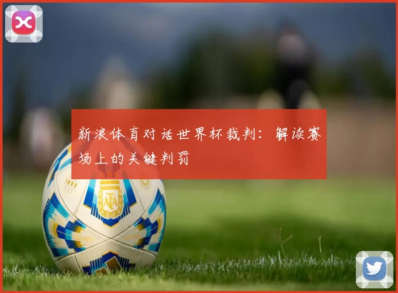 新浪体育对话世界杯裁判:解读赛场上的关键判罚