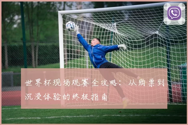 世界杯现场观赛全攻略:从购票到沉浸体验的终极指南