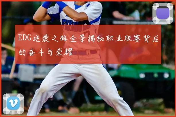 EDG逆袭之路全景揭秘职业联赛背后的奋斗与荣耀