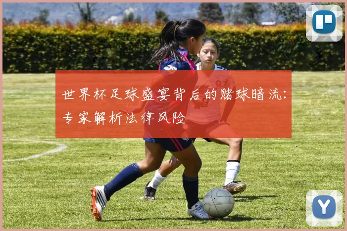 世界杯足球盛宴背后的赌球暗流:专家解析法律风险