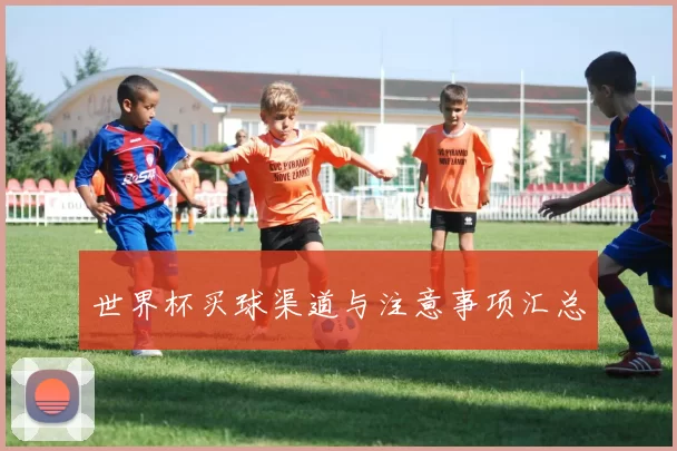 世界杯买球渠道与注意事项汇总
