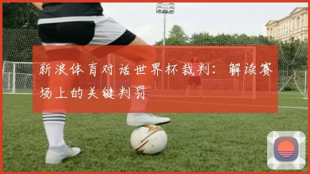 新浪体育对话世界杯裁判:解读赛场上的关键判罚