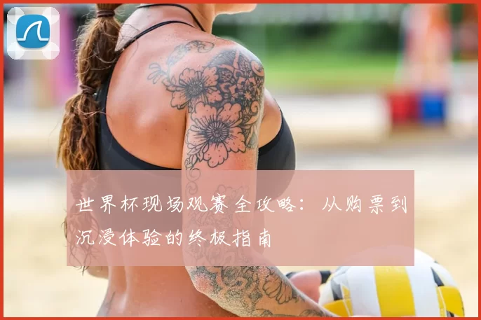 世界杯现场观赛全攻略:从购票到沉浸体验的终极指南