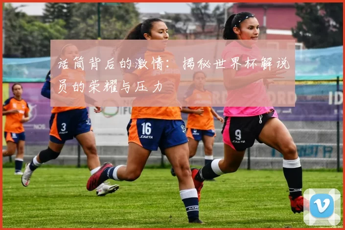 话筒背后的激情:揭秘世界杯解说员的荣耀与压力