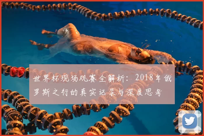 世界杯现场观赛全解析:2018年俄罗斯之行的真实记录与深度思考