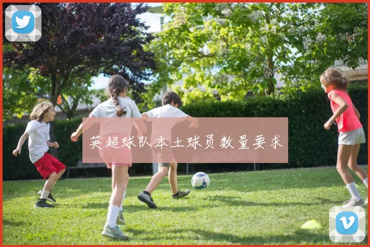 英超球队本土球员数量要求