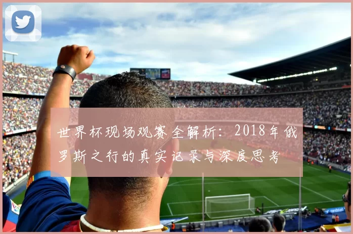 世界杯现场观赛全解析:2018年俄罗斯之行的真实记录与深度思考