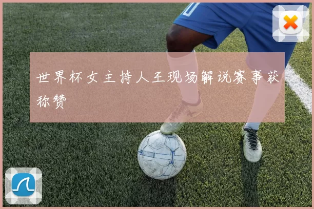 世界杯女主持人王现场解说赛事获称赞