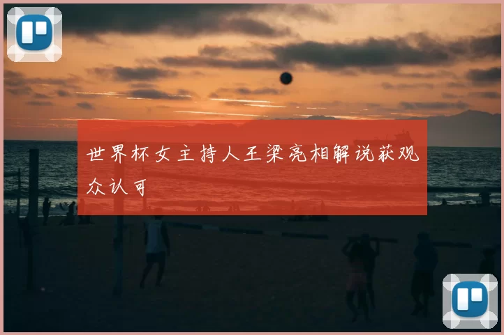 世界杯女主持人王梁亮相解说获观众认可