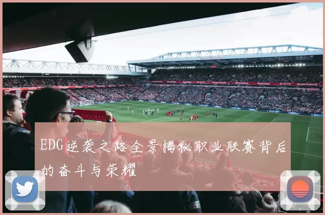 EDG逆袭之路全景揭秘职业联赛背后的奋斗与荣耀